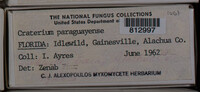 Image Associated With the Occurence